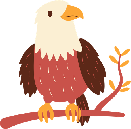 Aigle à tête blanche mignon  Illustration