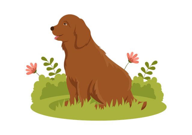 Chiot mignon  Illustration