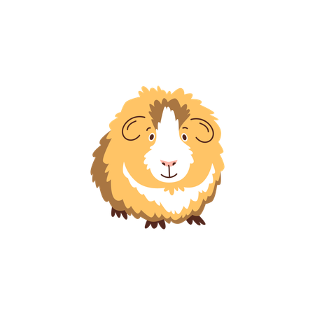 Mignon cochon d'inde  Illustration