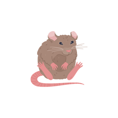 Joli rat assis  Illustration