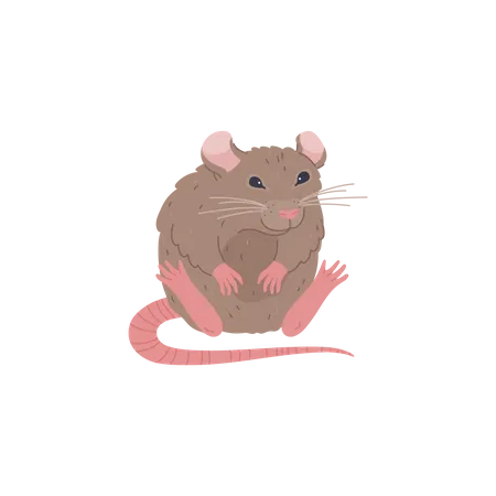 Joli rat assis  Illustration