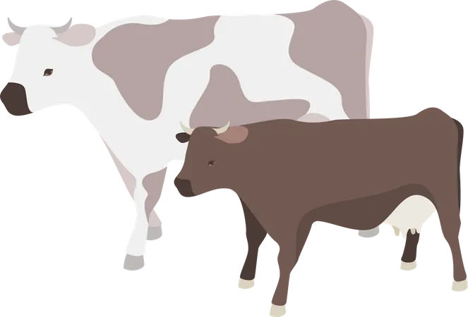 Milk producing cows Illustration