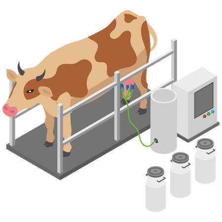 Milk taking machine from cow Illustration