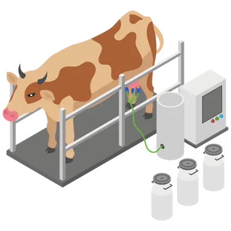 Milk taking machine from cow Illustration