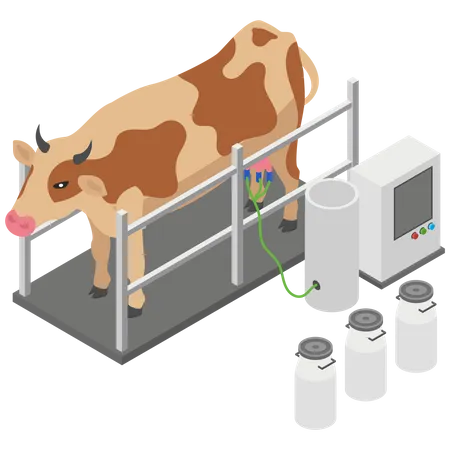 Milk taking machine from cow  Illustration