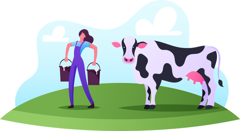 Milkmaid Woman Buckets after Milking Cow  Illustration