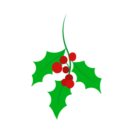 Mistletoe  Illustration