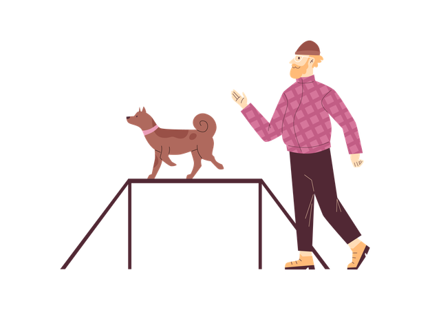 Modern boy training his brown dog makes command with obstacle  Illustration