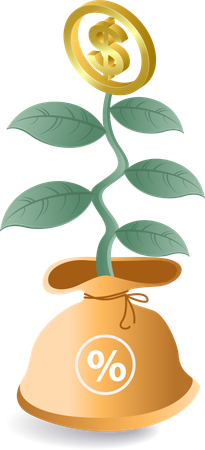 Money plant  Illustration