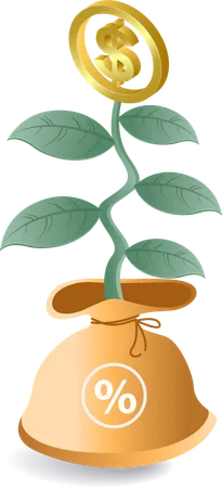 Money plant  Illustration