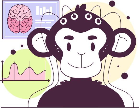 Monkey brain analysis  Illustration