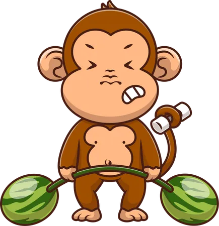 Monkey doing Weight Lifting With Melons  Illustration