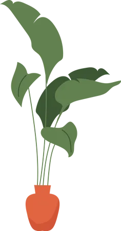 Köstliche Monstera-Pflanze für die Inneneinrichtung des Hauses  Illustration