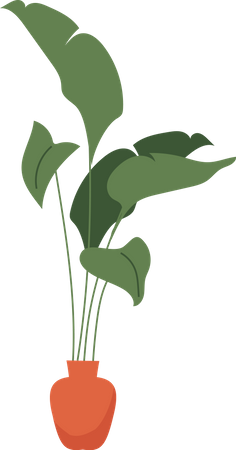 Monstera deliciosa plant for house interior  Ilustración