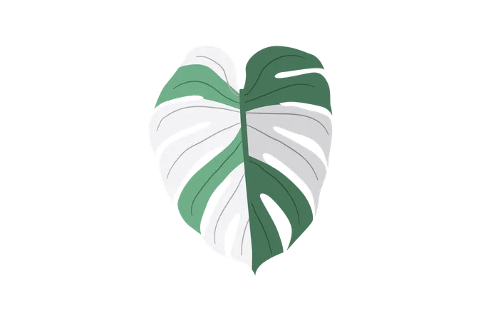 Bunte Monstera  Illustration