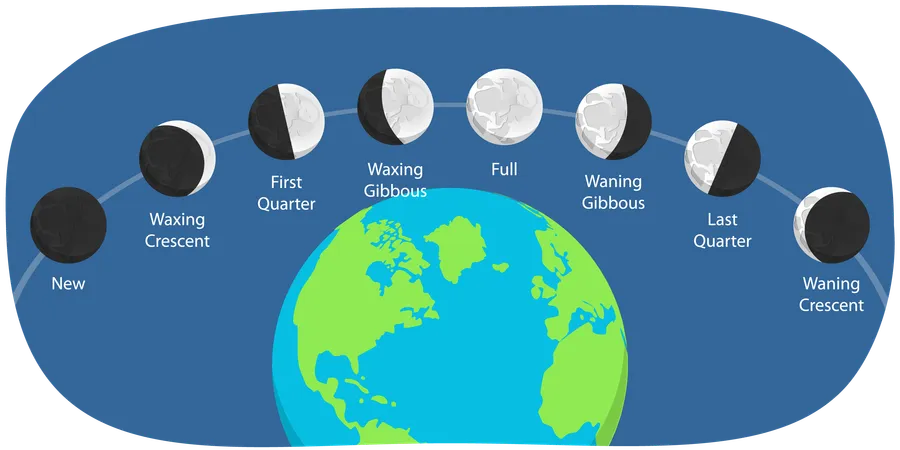 Moon Phases  Illustration