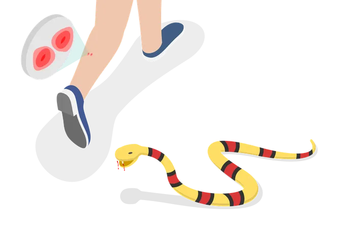 Picada de cobra venenosa  Ilustração
