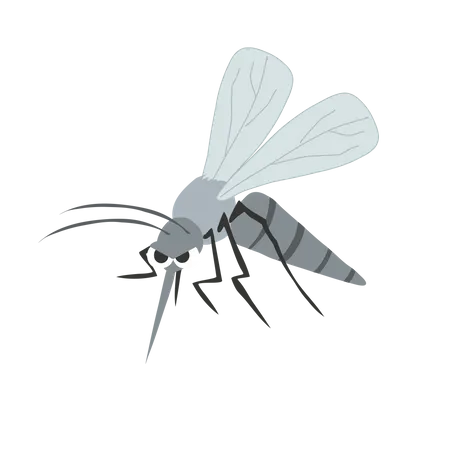 Ilustracion De Mosquitos Error De Verano Mosquito Portador De Enfermedades Ilustracion De Dibujos Animados De Vector Plano Ilustración
