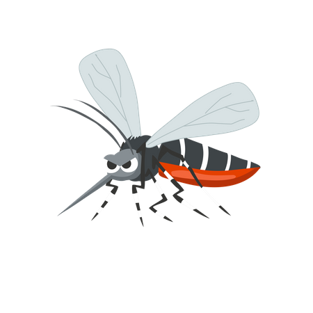 Mosquito aedes  Ilustración