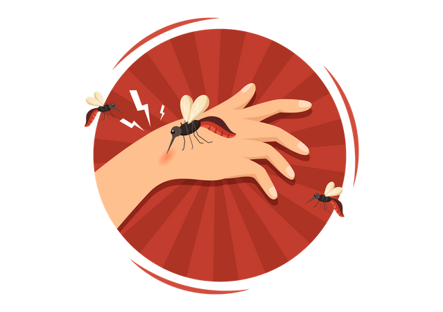 Mosquito de la malaria  Ilustración