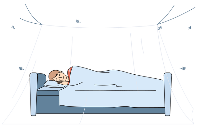 Mosquito net over sleeping woman bed allows to get rid of discomfort from midges and insects  Illustration