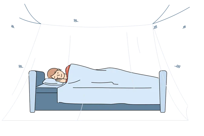 Mosquito net over sleeping woman bed allows to get rid of discomfort from midges and insects  Illustration