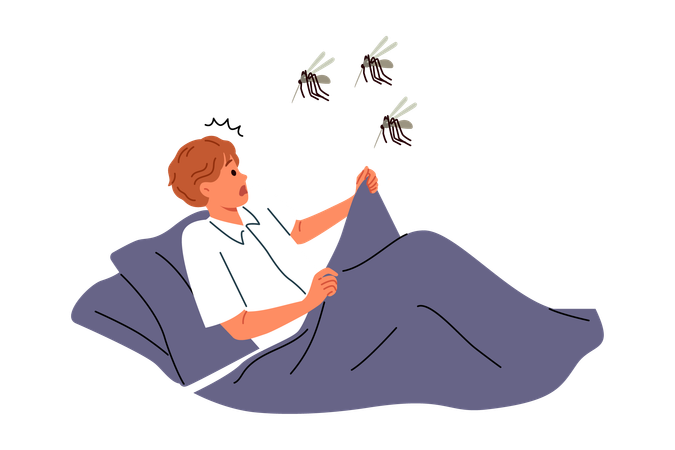 Mosquitoes will attack sleeping man lying in bed and horrified by sight of giant flying insects  Illustration