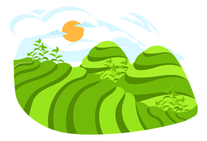 Mountain Agriculture  Illustration