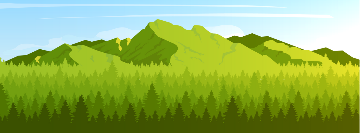 Mountain and coniferous forest  Illustration