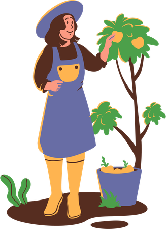 Mujer agricultora recogiendo fruta del árbol  Ilustración