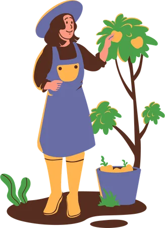 Mujer agricultora recogiendo fruta del árbol  Ilustración