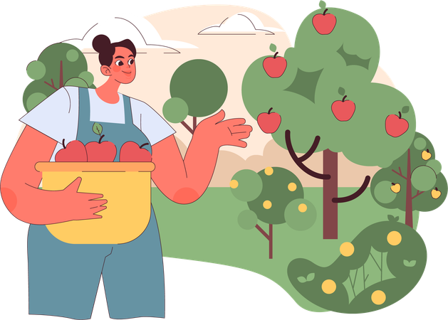 Mujer agricultora recogiendo manzanas de la granja  Ilustración