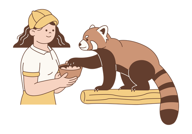 Mujer alimentando a un panda rojo como acto de cuidado animal  Ilustración