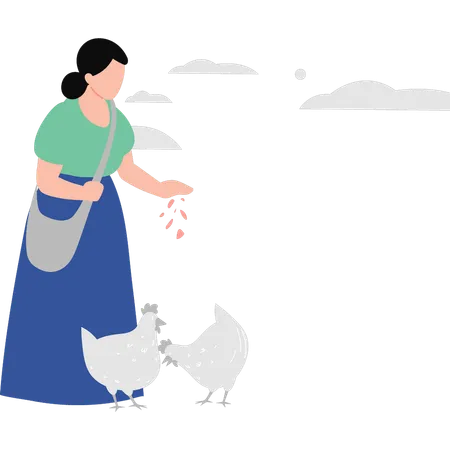 Mujer alimentando a las gallinas  Ilustración