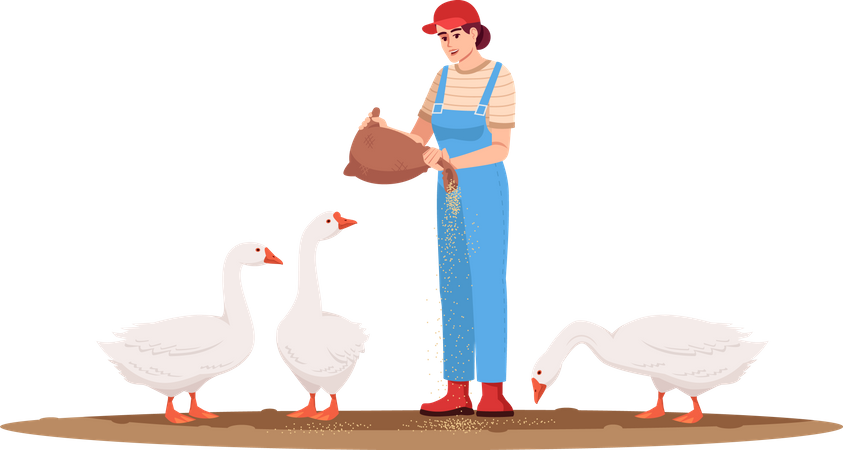 Mujer alimentando patos  Ilustración