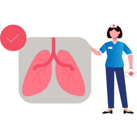 Mujer revisando pulmones sanos  Ilustración
