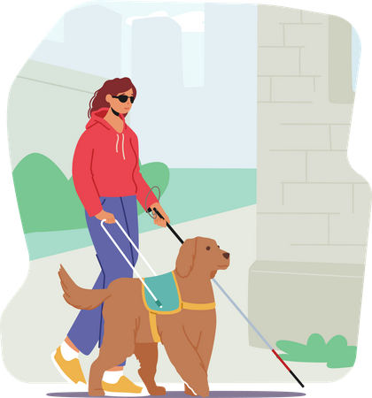 Mujer ciega con perro guía caminando con confianza por la calle  Ilustración