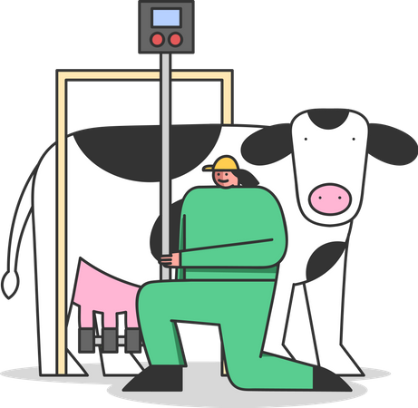 Mujer conectando la máquina de ordeño a la vaca  Ilustración