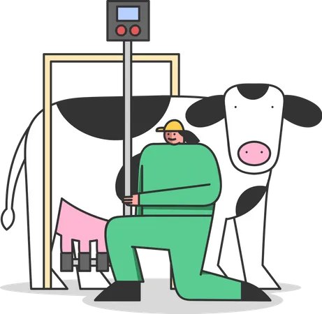Mujer conectando la máquina de ordeño a la vaca  Ilustración