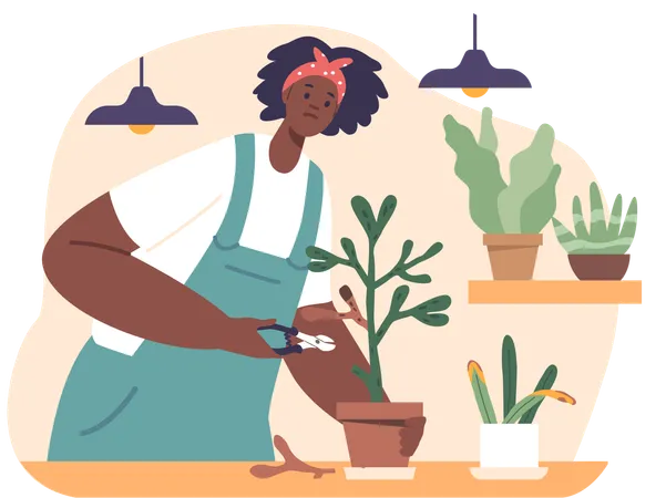 Una mujer cariñosa revive las plantas marchitas con una poda suave  Ilustración