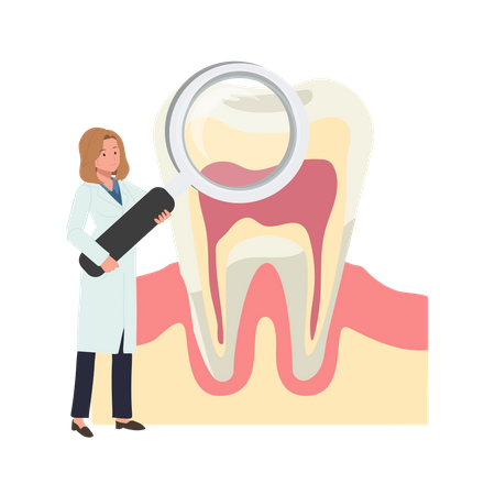 Mujer dentista investigación sobre los dientes  Ilustración