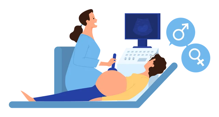 Mujer embarazada realizando un procedimiento de ultrasonido en el hospital ginecólogo  Ilustración