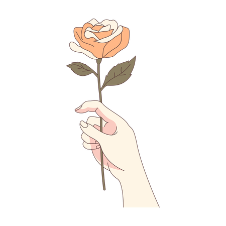 Mano de mujer estética sosteniendo una hermosa flor rosa  Ilustración