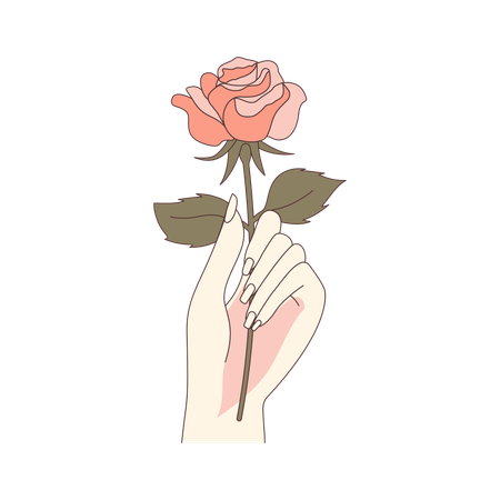 Mano de mujer estética sosteniendo una hermosa flor rosa floral  Ilustración