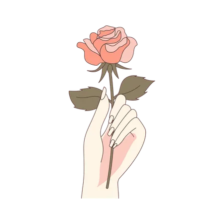 Mano de mujer estética sosteniendo una hermosa flor rosa floral  Ilustración