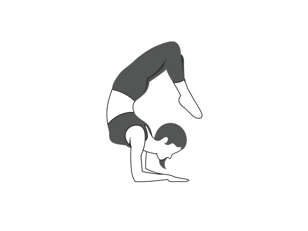 Mujer joven haciendo Vrschikasana  Ilustración