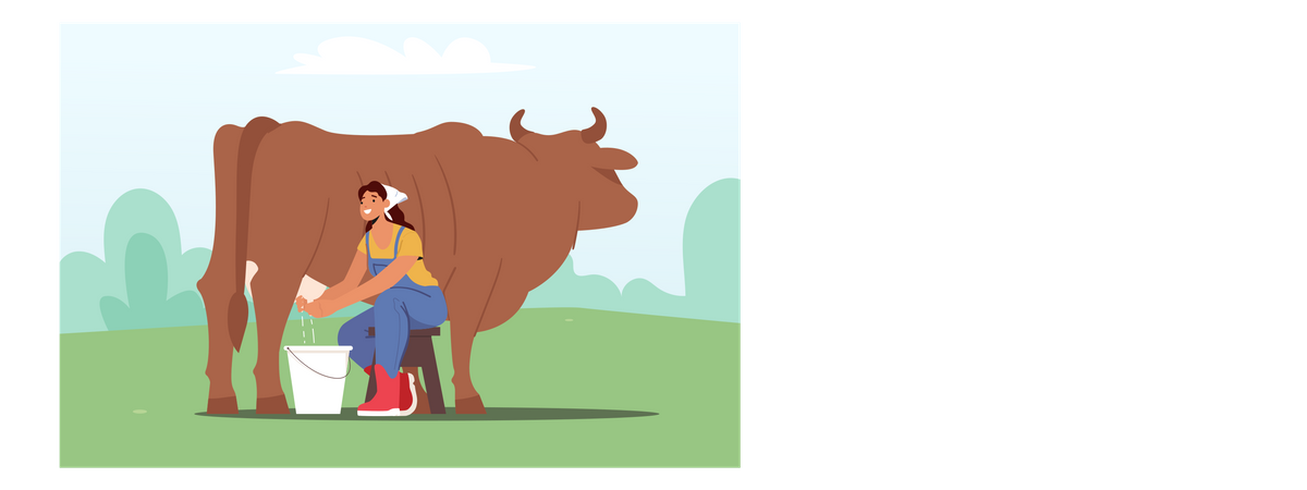 Mujer joven ordeñando vacas y recogiendo leche fresca  Ilustración