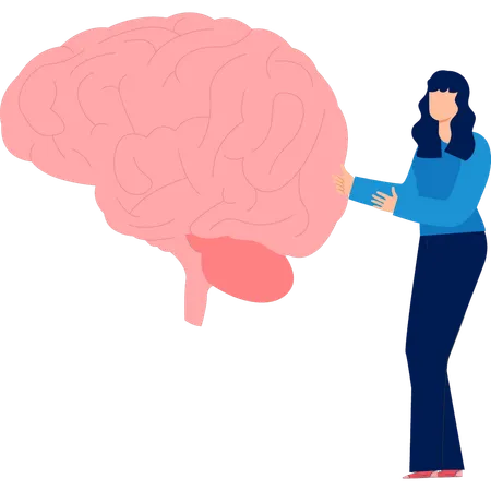 Mujer mostrando cerebro humano  Ilustración