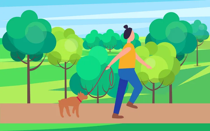 Mujer Paseando A Un Perro En El Parque De Verano Colorida Ilustracion Vectorial De Una Mujer Que Va A Correr Con Una Mascota Entre Los Arboles Verdes Del Jardin Campestre Ilustración