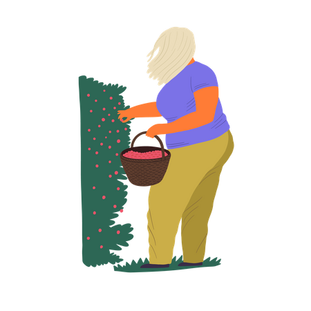 Mujer recogiendo bayas en un cubo  Ilustración